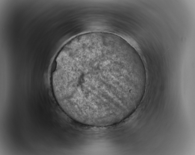 X0000089690912200707121334