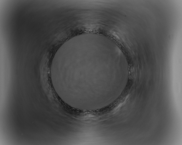 X0000089690913200707121333