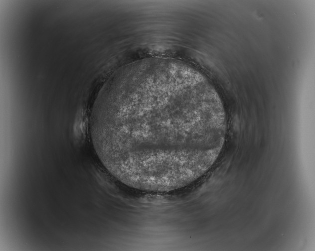 X0000089690914200707121333