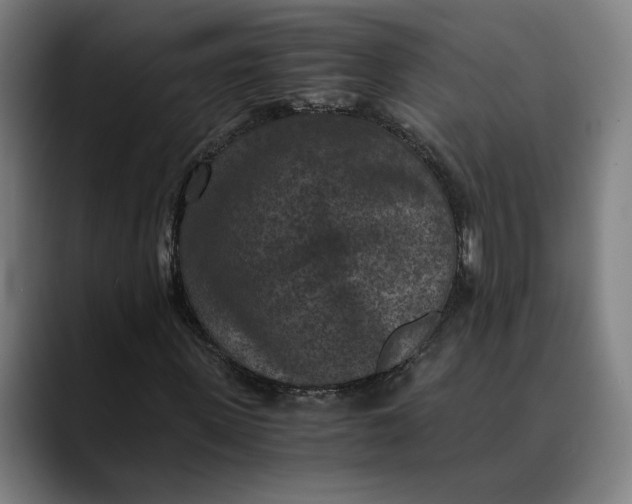 X0000089690915200707121333