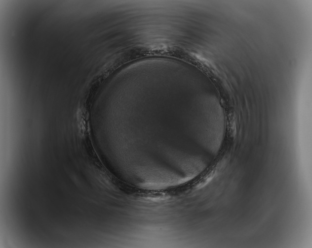 X0000089690916200707121333