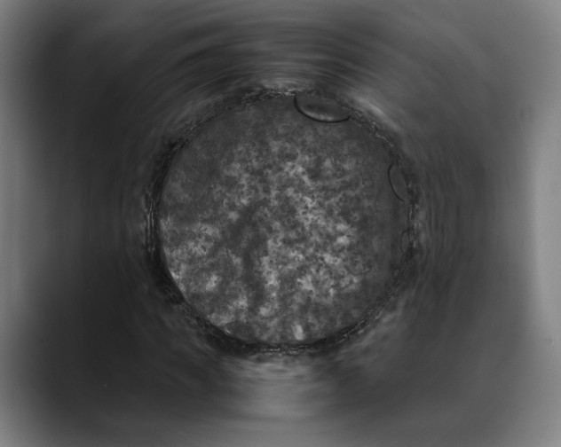 X0000089690917200707121333