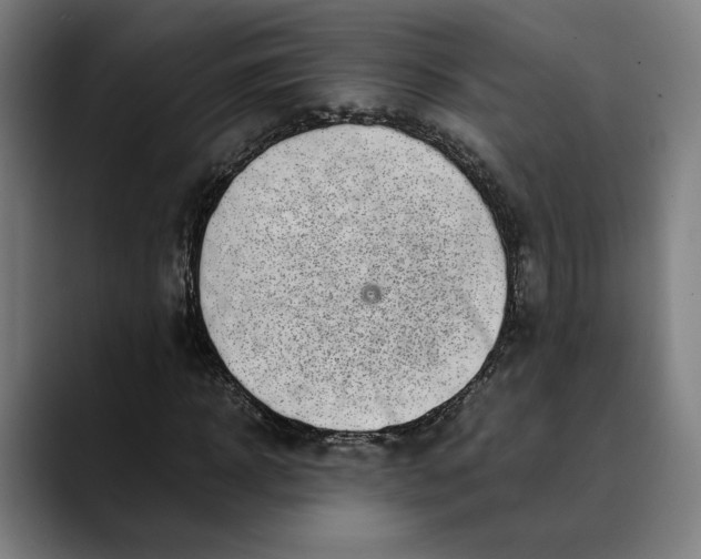 X0000089690918200707121333