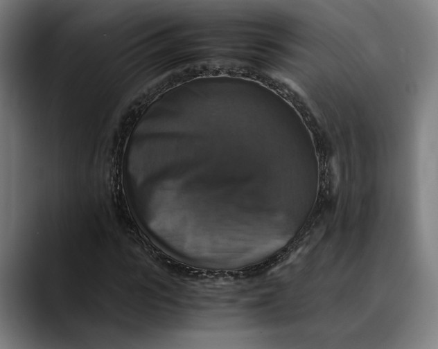 X0000089690919200707121333