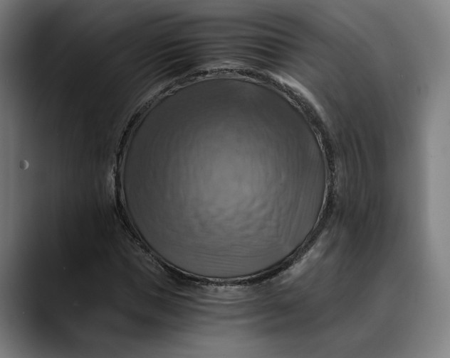 X0000089690921200707121333