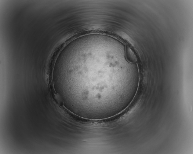 X0000089690922200707121333