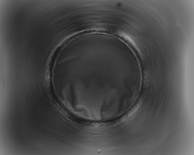 X0000089690923200707121333