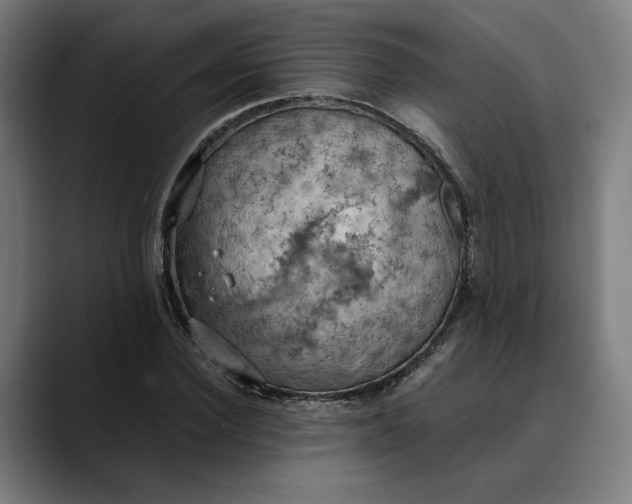 X0000089690924200707121333