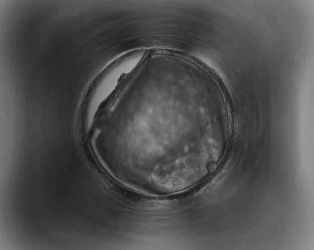 X0000089690925200707121333