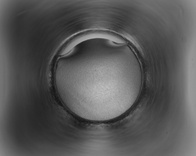 X0000089690926200707121333