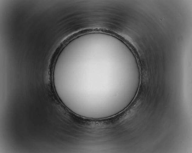 X0000089690927200707121333