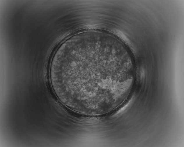 X0000089690930200707121333