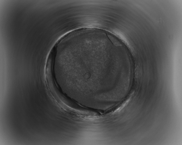 X0000089690932200707121333