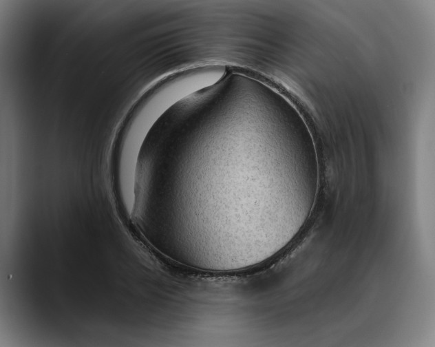 X0000089690934200707121333