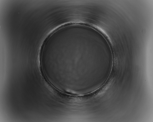 X0000089690935200707121333