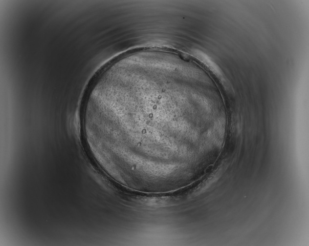 X0000089690936200707121333