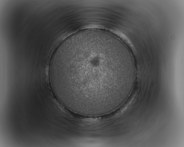 X0000089690937200707121333