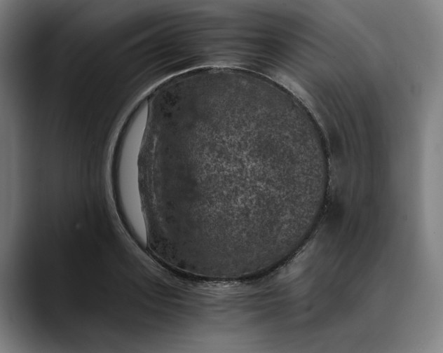 X0000089690939200707121333