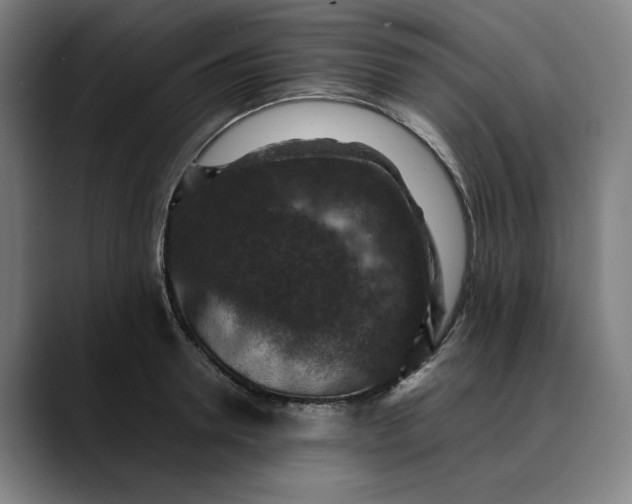 X0000089690946200707121334