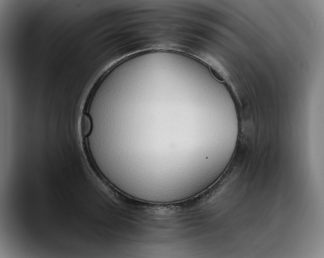 X0000089690947200707121334