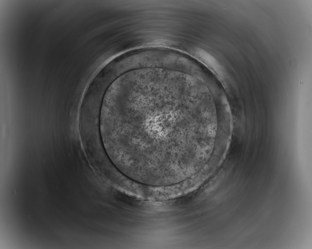 X0000089690948200707121334