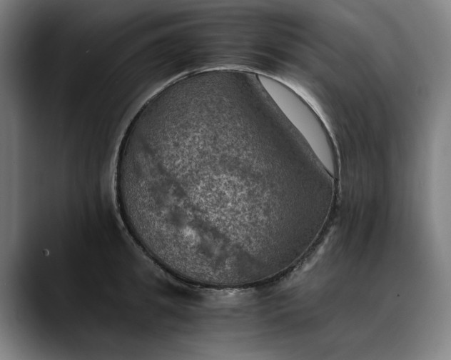 X0000089690949200707121334