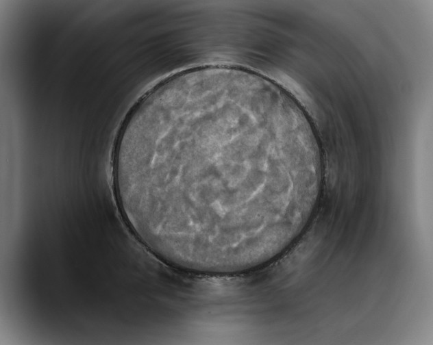 X0000089690950200707121334