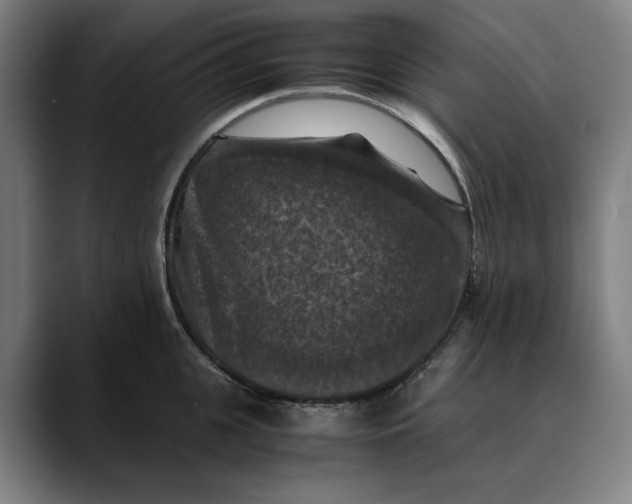 X0000089690951200707121334