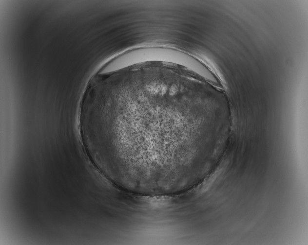 X0000089690952200707121334