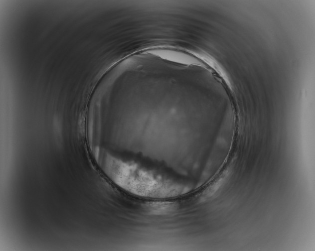 X0000089690953200707121334