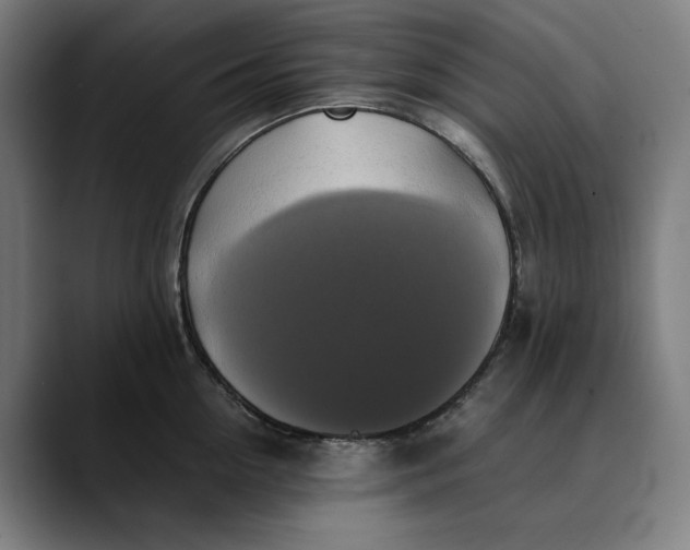 X0000089690954200707121334