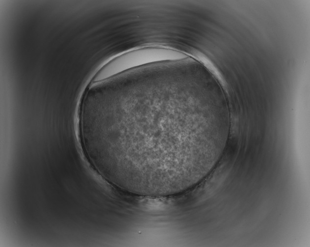 X0000089690955200707121334