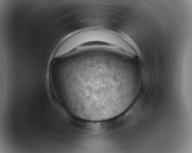 X0000089690956200707121334