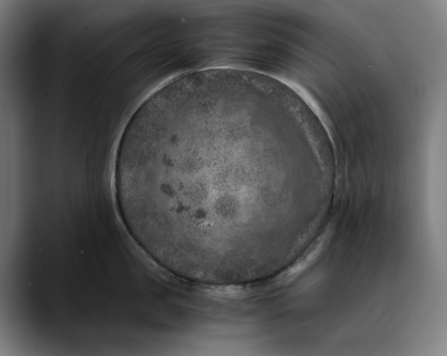 X0000089690957200707121334