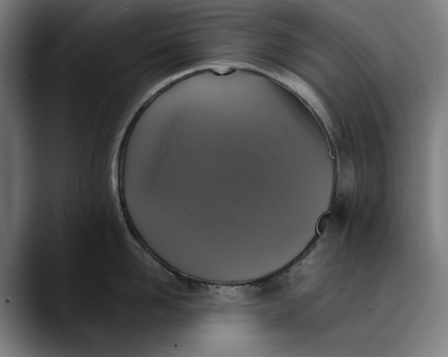 X0000089690958200707121334