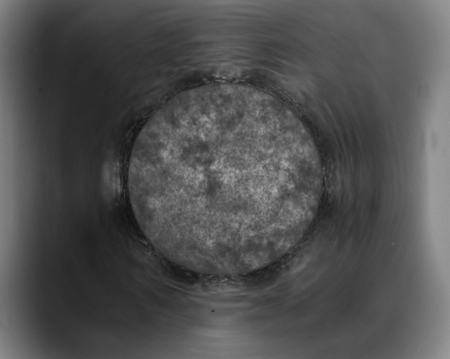 X0000089690962200707121333