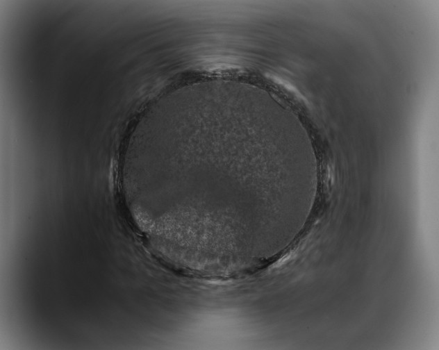 X0000089690965200707121333