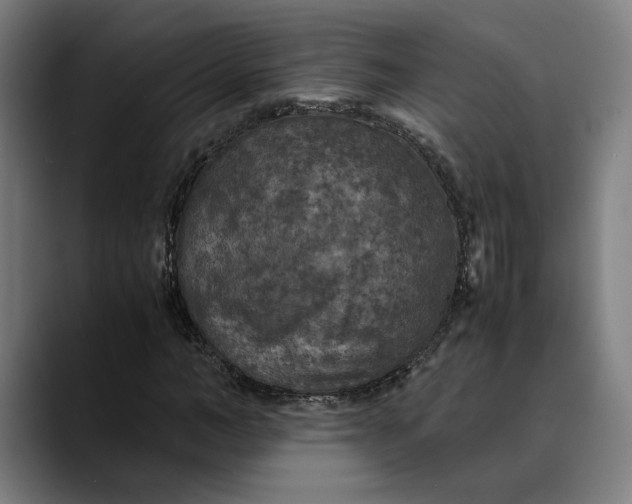 X0000089690966200707121333