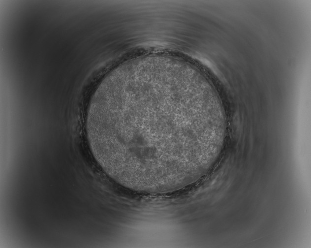 X0000089690967200707121333