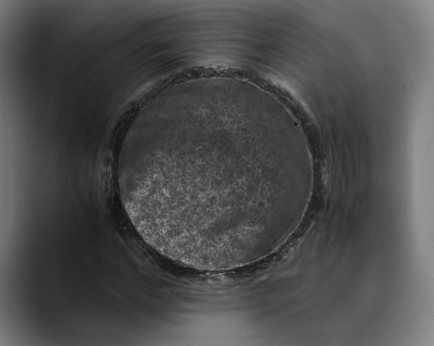 X0000089690968200707121333