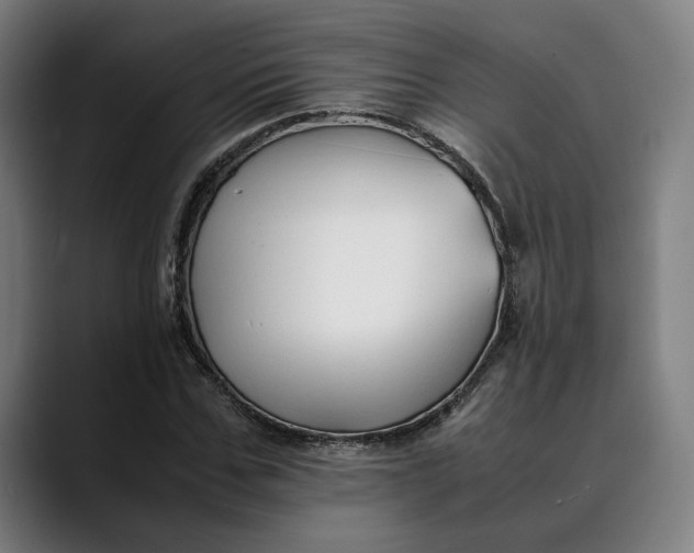 X0000089690971200707121333