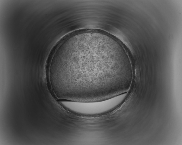 X0000089690972200707121333