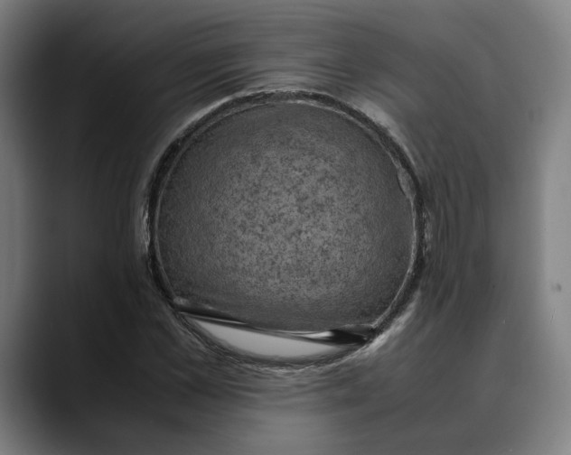 X0000089690973200707121333