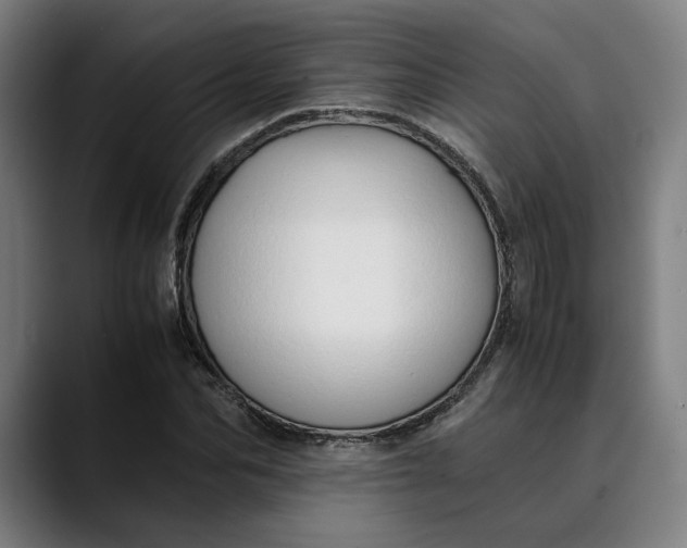 X0000089690974200707121333