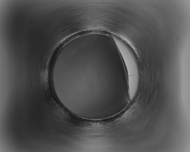 X0000089690975200707121333