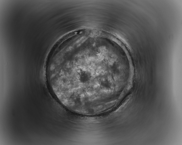 X0000089690976200707121333