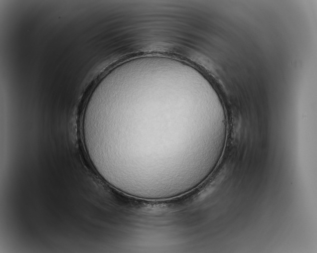 X0000089690978200707121333