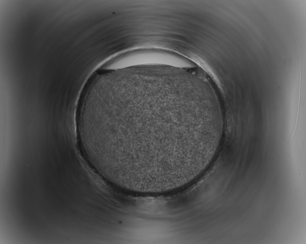 X0000089690980200707121333