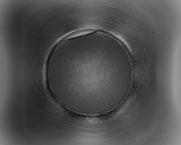 X0000089690983200707121333