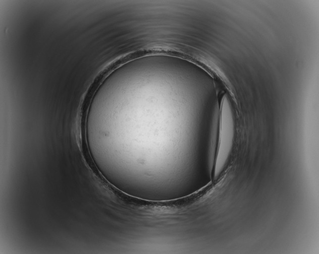 X0000089690984200707121333